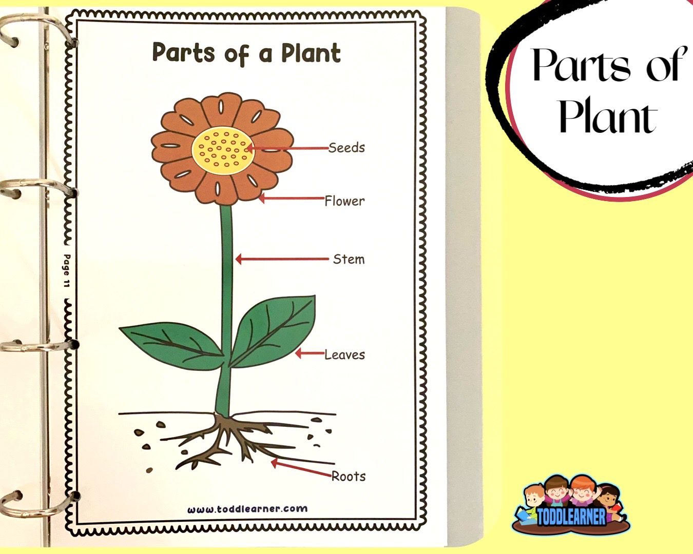 Add on learning Binder (Laminated Version)
