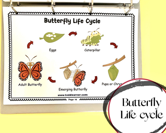 Add on learning Binder (Laminated Version)
