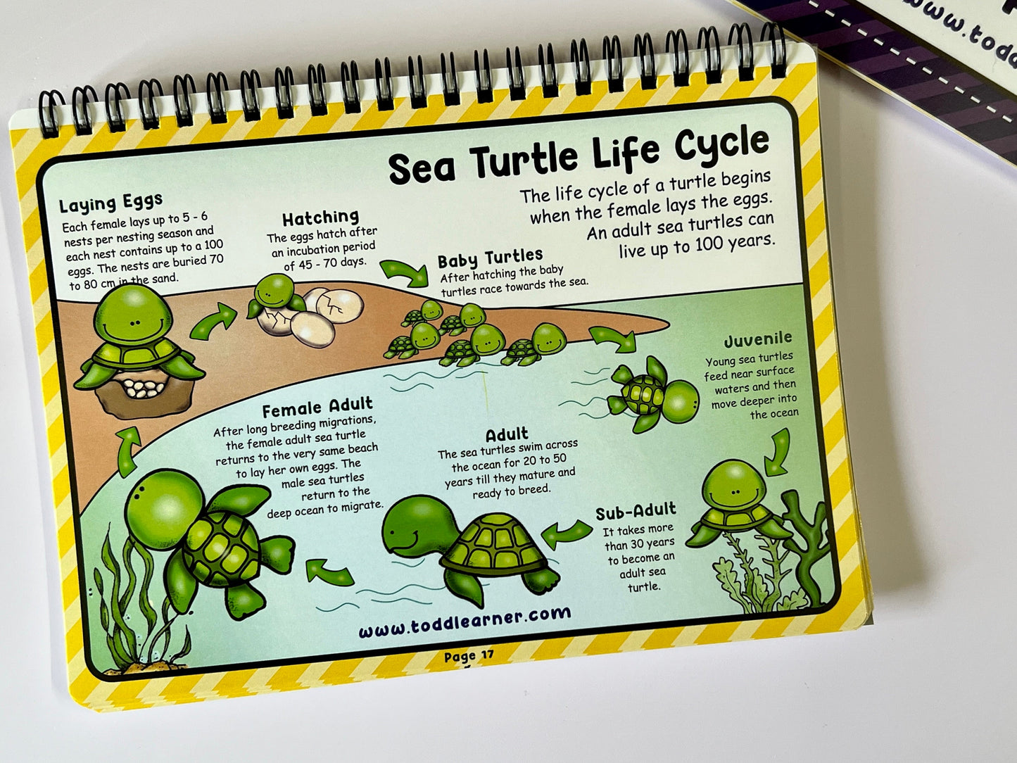 Learning Life Science Part 1 and Part 2 Bundle for Children