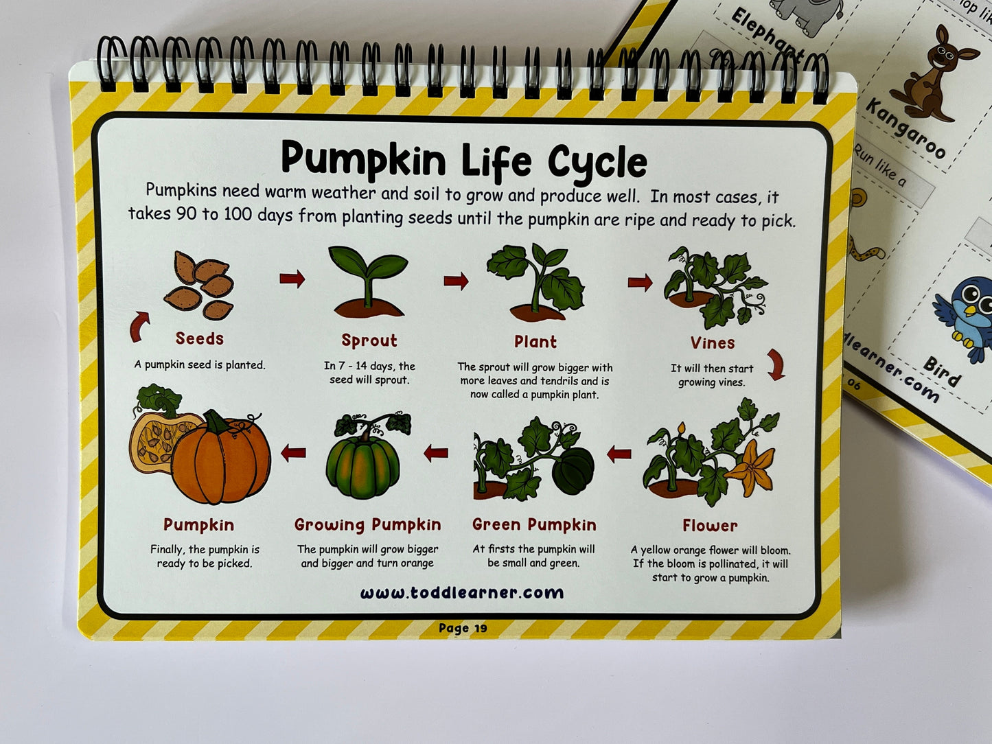 Learning Life Science Part 1 and Part 2 Bundle for Children