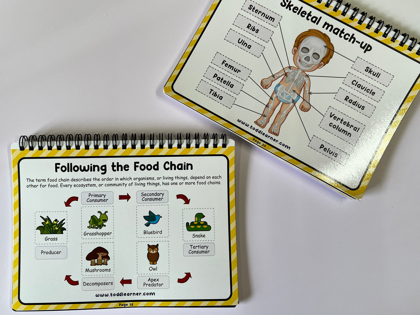 Learning Life Science Part 1 and Part 2 Bundle for Children
